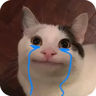 🐱 emoji АЛИК СИЛА Telegram sticker 20 of 25