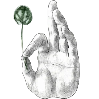 Sticker from Plants by juli