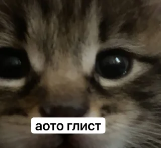 🙄 emoji кэьсу Telegram sticker 3 of 21