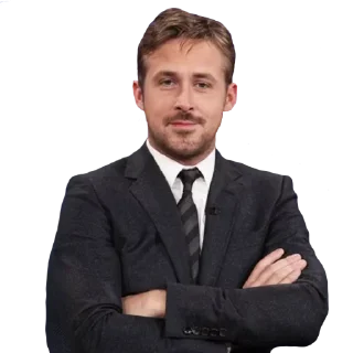 🙅‍♂️ emoji Раян by:  @SWARMCRYPTO Telegram sticker 12 of 120