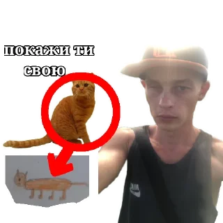 🐱 emoji Вовка небритая машонка Telegram sticker 13 of 29