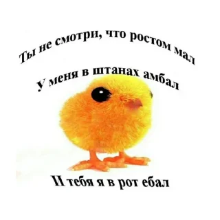 😇 emoji 👇 ЖМИ СЮДА 👉 @axa_xa_xax_bot Telegram sticker 7 of 92