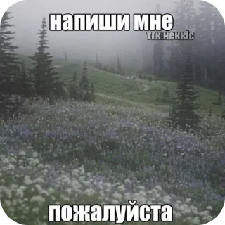 🌲 emoji Ну надо Telegram sticker 3 of 37