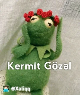 Sticker from Kermit Mood 💫 | 👨🏻‍💻 @Xaliqq