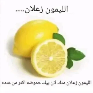 🗿 emoji يوسف الراقي فردنوب : @Jubx4 Telegram sticker 16 of 120