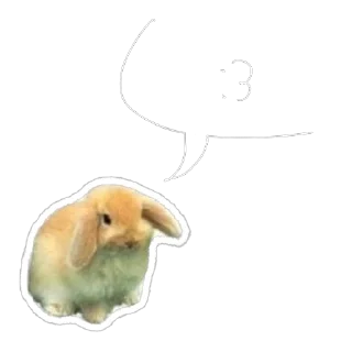 Sticker from котёнки <3