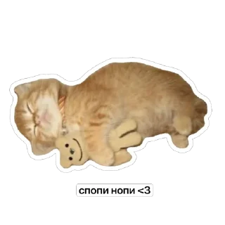 😴 emoji котёнки <3 Telegram sticker 8 of 39