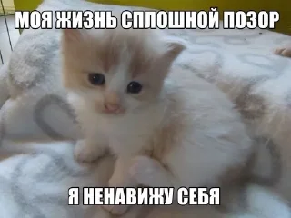 Sticker from пися