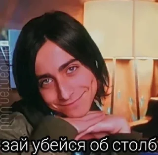 😇 emoji Мемы от Эйдана и Пятого) Telegram sticker 6 of 34