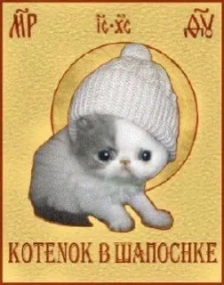 🌟 emoji Котеки @nonsens999 Telegram sticker 7 of 120