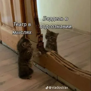 Sticker from Котофуцианство
