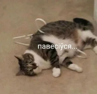 🌟 emoji Инсульт Telegram sticker 5 of 84