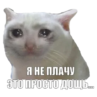 💟 emoji Дана Telegram sticker 15 of 30