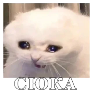 💟 emoji Дана Telegram sticker 21 of 30