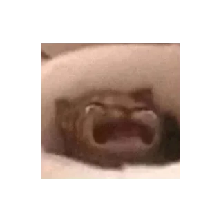 👹 emoji мяумяумяу: @sevwxf Telegram sticker 12 of 94