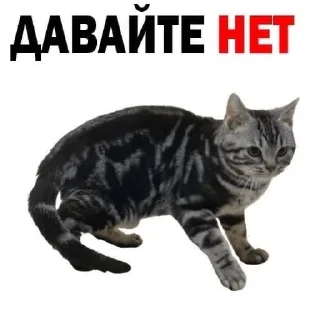 ❌ emoji гдз русский язык ладыженская Telegram sticker 23 of 65