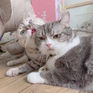 🥰 emoji китти Telegram sticker 21 of 80