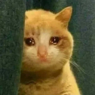 😭 emoji ЪУЪУЪУ Telegram sticker 18 of 82
