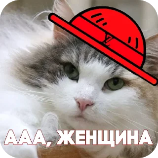Sticker from Пираты > @ChatPirates1007