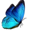 🦋 emoji Синий @cute_enot_art Telegram sticker 12 of 188