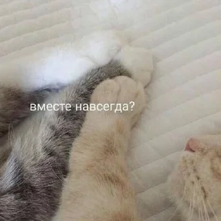 ❤️ emoji настроение хорни Telegram sticker 15 of 51