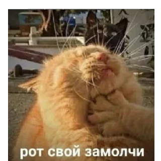 😶 emoji На случай важных переговоров Telegram sticker 16 of 110