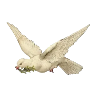 🕊 emoji —> @stikers_meows Telegram sticker 23 of 30
