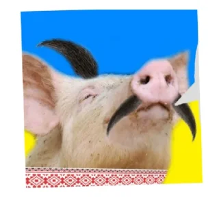 😄 emoji ХОХЛЫ Telegram sticker 23 of 33