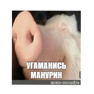 Sticker from ХОХЛЫ