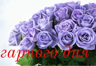🥰 emoji щиро кохаю!) Telegram sticker 17 of 43