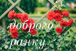 ☀️ emoji щиро кохаю!) Telegram sticker 15 of 43