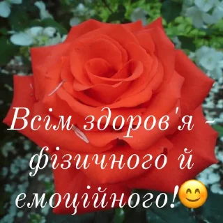 😊 emoji щиро кохаю!) Telegram sticker 23 of 43