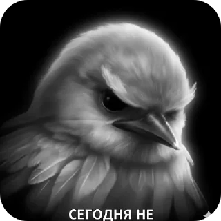 🐦 emoji Птицки :: @Mark_Vailer Telegram sticker 19 of 103