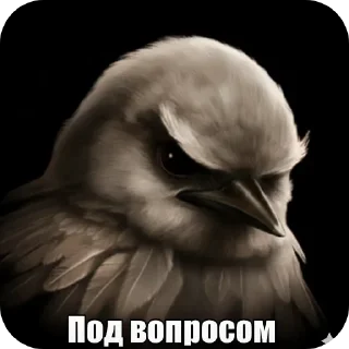 🐦 emoji Птицки :: @Mark_Vailer Telegram sticker 18 of 103
