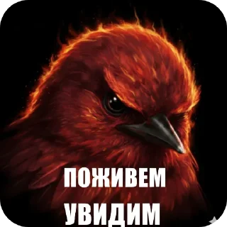 🐦 emoji Птицки :: @Mark_Vailer Telegram sticker 8 of 103