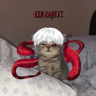 🤡 emoji ᴅʀᴜɢ ᴛʀᴀꜰꜰɪᴄᴋɪɴɢ
гулькина мать Telegram sticker 16 of 43