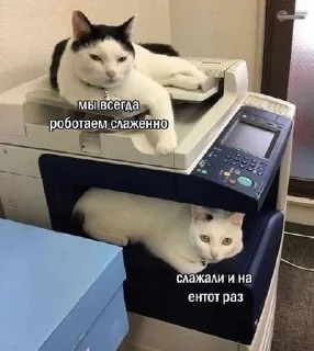 Sticker from На случай важных переговоров