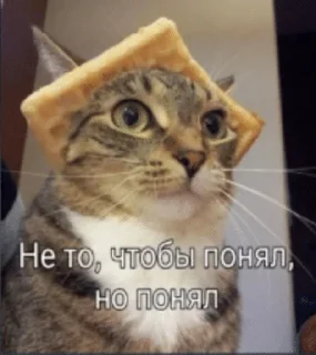 🌟 emoji Работаем, друзья Telegram sticker 12 of 51