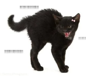 🤩 emoji я охуенен @satori_666 Telegram sticker 8 of 103