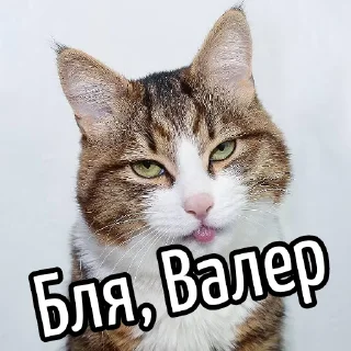 😕 emoji Ну бля ... @GIFSTIKI ⬅ 🔞 Telegram sticker 14 of 119