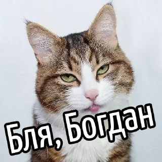 😕 emoji Ну бля ... @GIFSTIKI ⬅ 🔞 Telegram sticker 11 of 119