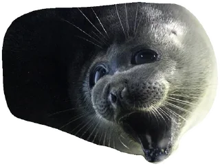 😨 emoji Тю-лени Telegram sticker 9 of 67