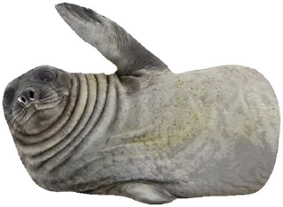 🤚 emoji Тю-лени Telegram sticker 22 of 67