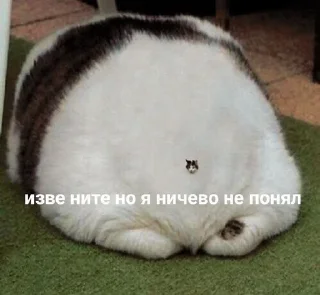 🫠 emoji Школа Telegram sticker 23 of 76