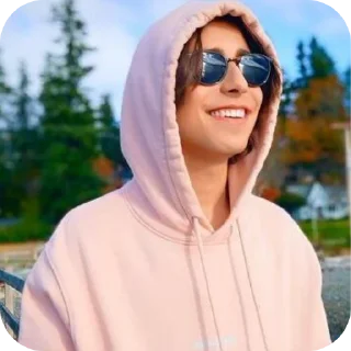😎 emoji Эйдан Telegram sticker 14 of 19