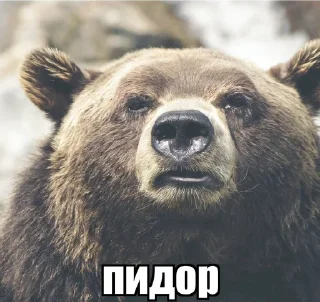 😐 emoji какашки Telegram sticker 12 of 120