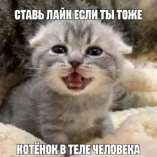 👨‍✈️ emoji для души 1.1 Telegram sticker 10 of 26