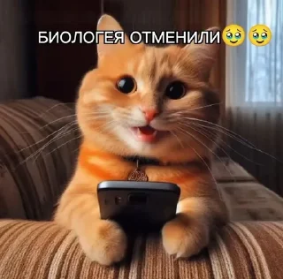 🌟 emoji Уроки:( Telegram sticker 21 of 68