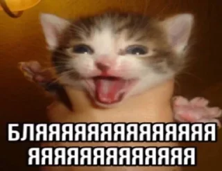 🌟 emoji стикеры от некита Telegram sticker 19 of 119