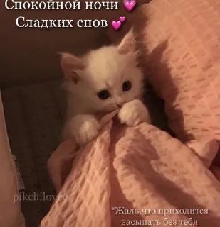 💕 emoji Картиночки лове🐊 Telegram sticker 23 of 47